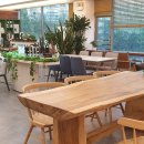 에일린의뜰아파트상가 앞 이미지