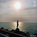 DOPE 이미지