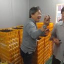대심냉동 이미지