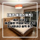 천제연로 | [제주에코스위츠] 제주도 서귀포 애견동반 가성비 숙소 추천&amp;내돈내산 후기