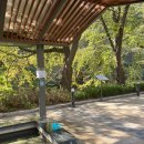 씨유 약수화물차휴게소점 | 네이버 패키지 - 테마캠프 설악산 주전골 단풍트레킹, 홍천 은행나무숲 가을 혼자 당일여행 혼행 후기