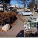 원정초등학교 이미지