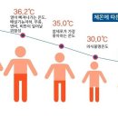 쑥뜸천하 이미지