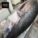 왕자와 이케아,일상✌️