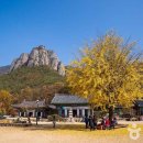 청송 버스정류장 이미지