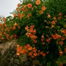 한옥마을 이미지