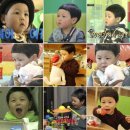 애니멀즈 이미지