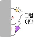 리틀베어스튜디오