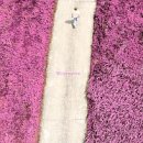 (주)앤츠 이미지