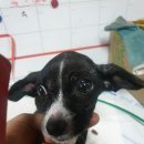 강동면행정복지센터 이미지