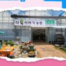 다육이야기 - 부안군 부령로 67 | 전북체험, 수제 다육이도 만들고 심는 다육이야기농원 후기