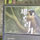 도봉산 오봉 이미지