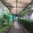 청학골프연습장 이미지