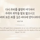 우리의 모든 죄를 깊은 바다에 던지시리이다 이미지