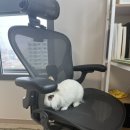 성광축산 이미지