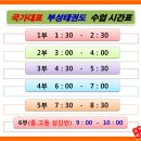 국가대표 부성태권도 이미지