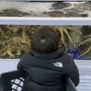 부자마트 | 부자가 되는 방법의 시작, 식비 관리 (델리마트를다녀오며)