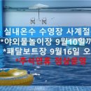 인디언숲 캠프닉 이미지