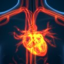 다이어트365GYM 이미지