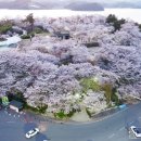 여명로25번길 이미지