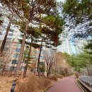 반포동 50-10 교육연구시설 및 근린생활시설 | 반포자이 아파트 시세·입지·학군 총정리｜서초구 원촌초·원촌중 학세권 단지 분석