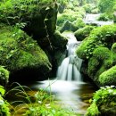 수정-129 이미지