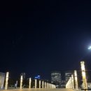 서구-01-08 | 대전시립교향악단 마스터즈 시리즈 1 신년음악회 <림스키-코르사코프 : 세헤라자데> 후기 (26. 01. 08. 목)