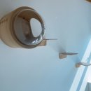 오냥오냥 고양이호텔 이미지