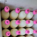 무주민속탁주주조장 이미지