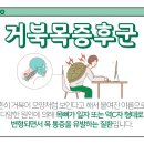 신천메트로정형외과의원 이미지