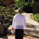 한승원 카카오 검색결과