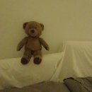 강아지 마음 이미지