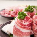 대화키즈태권도 이미지