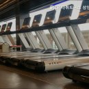 플로리다 피트니스 이미지