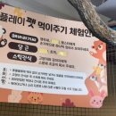 플레이펫 이미지