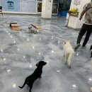 커멍커멍 이미지