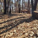 힐링포레스트 이미지