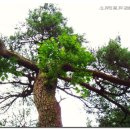 마음의 문 이미지