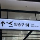 세븐일레븐제주북초교점 | 10월의 제주 여행 일정 및 경비 (뚜벅이 혼자 여행 2박 3일)