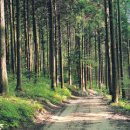 은아영재어린이집 이미지