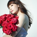 100송이 이미지