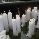 블루밍마켓 - 송파구 | 블루밍마켓