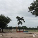 해맞이승마클럽 이미지