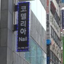 코델리아 네일뷰티