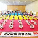 용인대 타이곤 태권도장 이미지