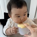 빨대 | 퍼기 빨대컵 사용후기 아기 빨대컵 연습 추천