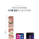 파닥파닭 네이버블로그