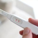 바질레이 - 강남구 개포로 265 | 바질레이