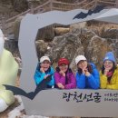 광천목장 이미지