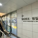 킹덤장어 이미지